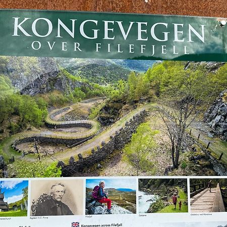 Mjosvang Kafe Vang I Valdres Zewnętrze zdjęcie